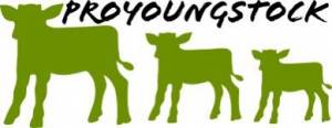 Logo Proyoungstock